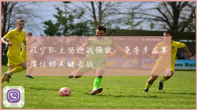 辽宁队主场迎战强敌，争夺季后赛席位的关键之战