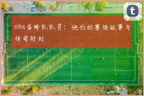 nba黄蜂队队员:他们的赛场故事与传奇时刻