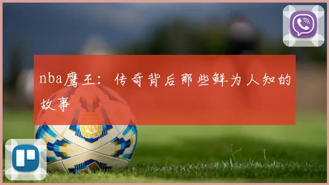 nba鹰王：传奇背后那些鲜为人知的故事