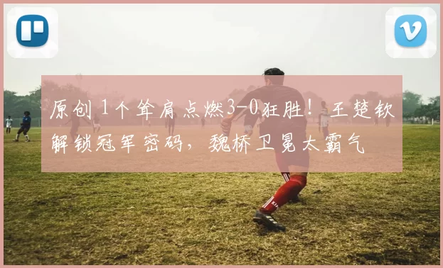 原创 1个耸肩点燃3-0狂胜！王楚钦解锁冠军密码，魏桥卫冕太霸气