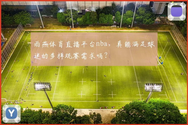 雨燕体育直播平台nba，真能满足球迷的多样观赛需求吗？