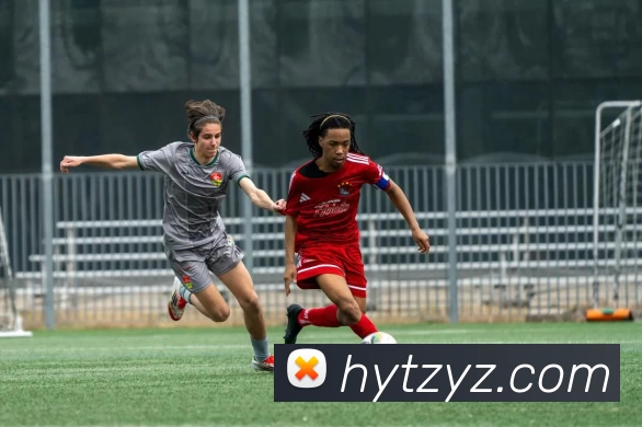 数据防护可视化